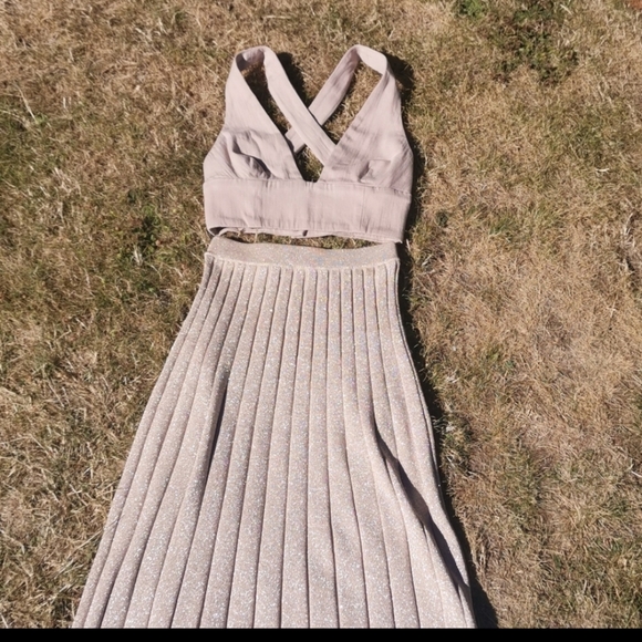 Wilfred Metallic Nude Pink High Waist Skirt - Picture 8 of 9